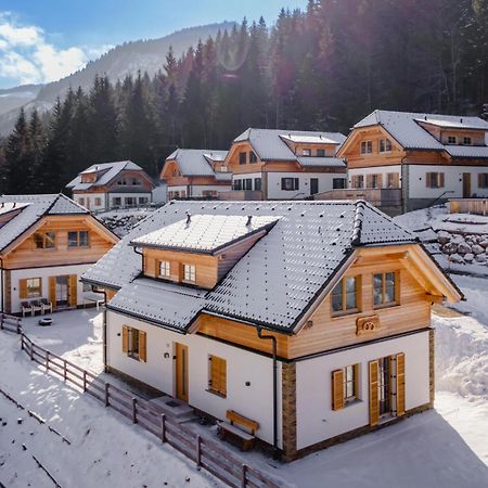 Chalet Pretzel Donnersbachwald Zewnętrze zdjęcie